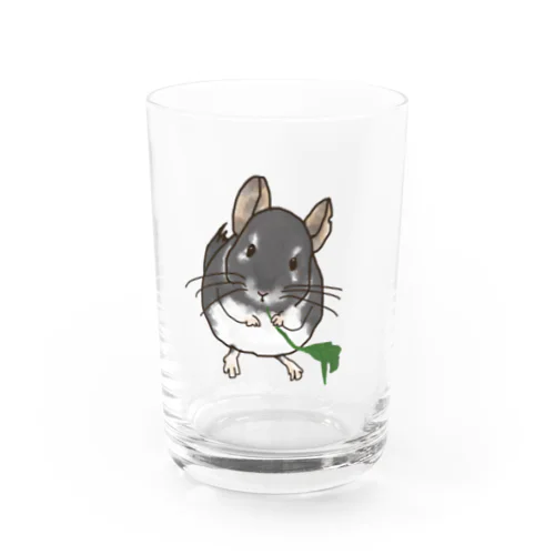 チンチラのおもちくん Water Glass