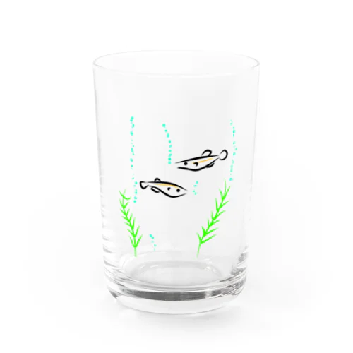 メダカ Water Glass