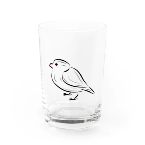 シンプル文鳥 Water Glass