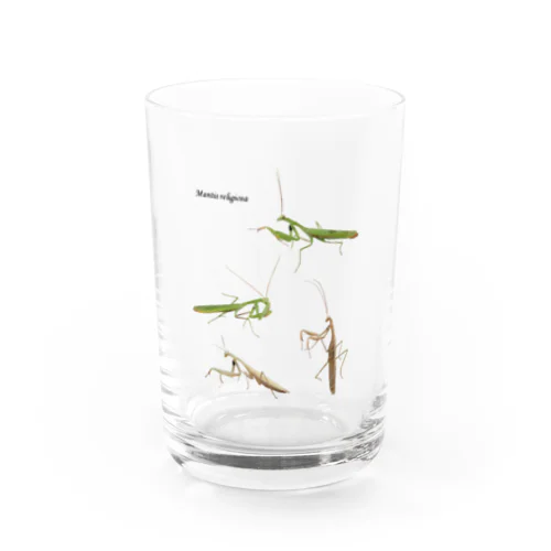 ウスバカマキリ（背景透過ver） Water Glass