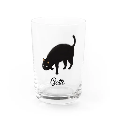 gatto Water Glass