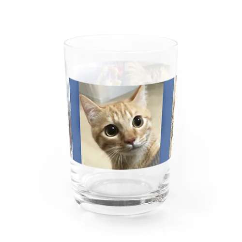 きなこ ぎん あずき Water Glass