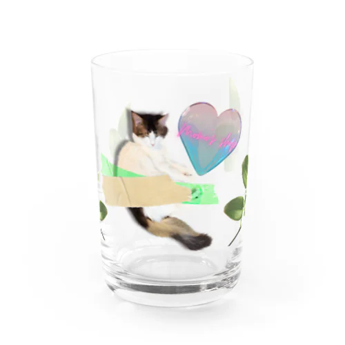 botanical-MOMO Water Glass