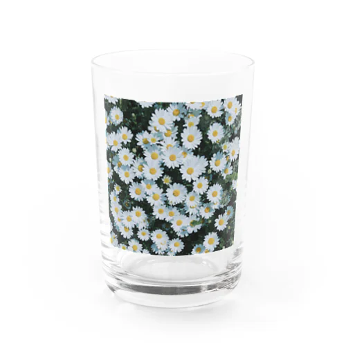 晴れた日の白いお花 Water Glass