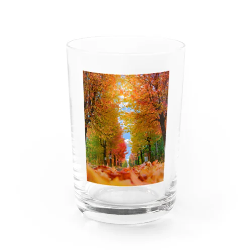 紅葉並木 Water Glass