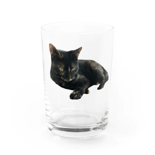 サビ猫実彩子ちゃんのグラス Water Glass