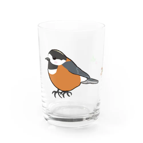 ヤマガラ Water Glass