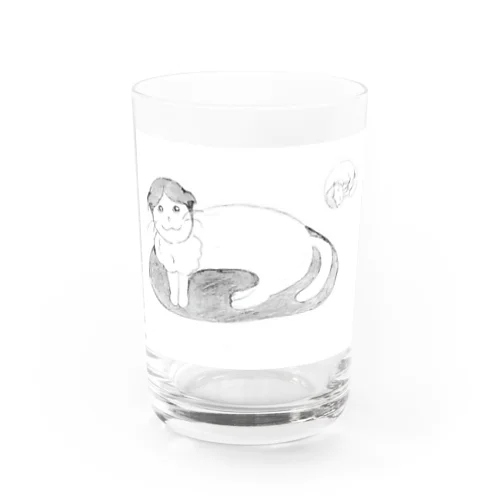 スコティッシュフォールド(猫) Water Glass