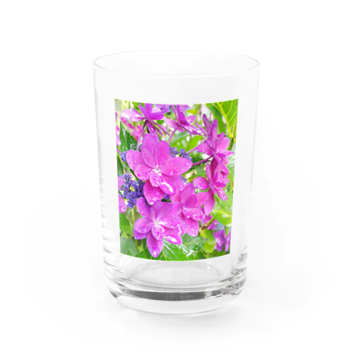 紫陽花2 グラス