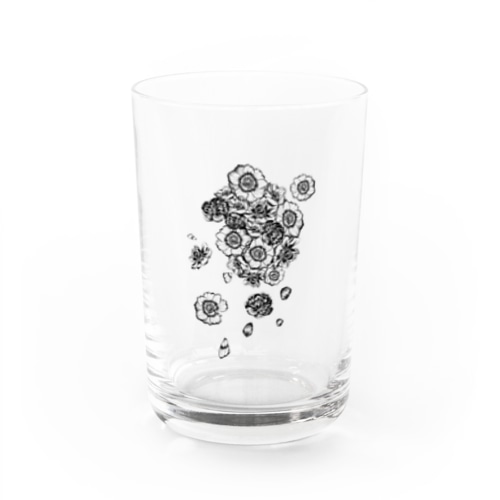 ANemONe Water Glass