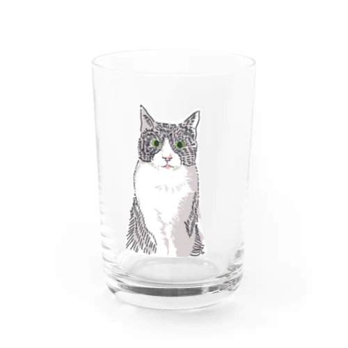 白黒はちわれのねこ Water Glass