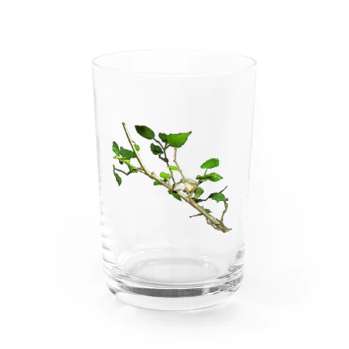 カエルの仕草 Water Glass