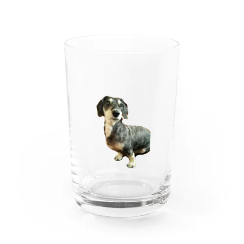 DANくん！ Water Glass