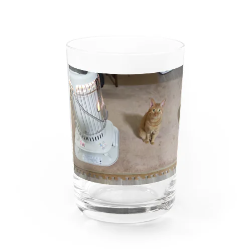ストーブ横が特等席ごま Water Glass