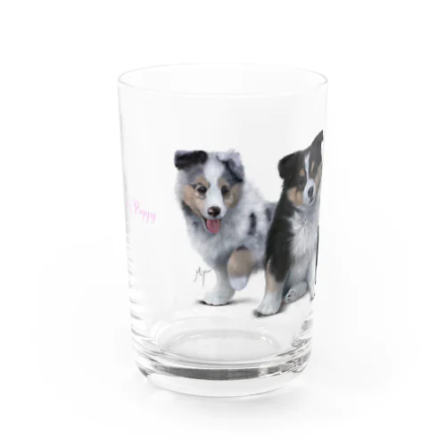 シェルティの子犬 Water Glass