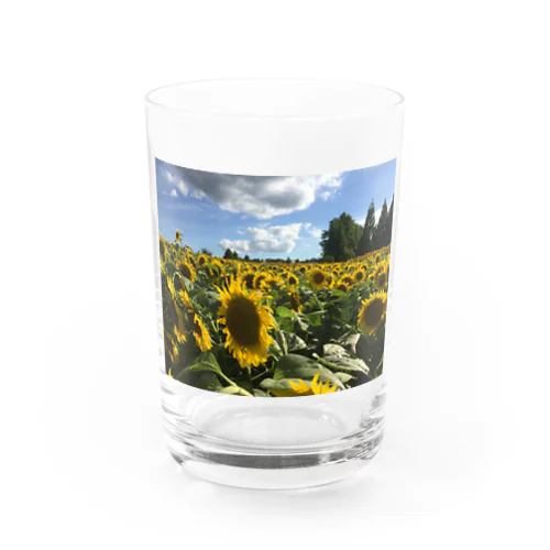 向日葵と太陽 Water Glass