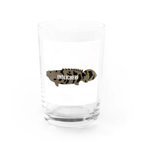 endlicheri  Water Glass