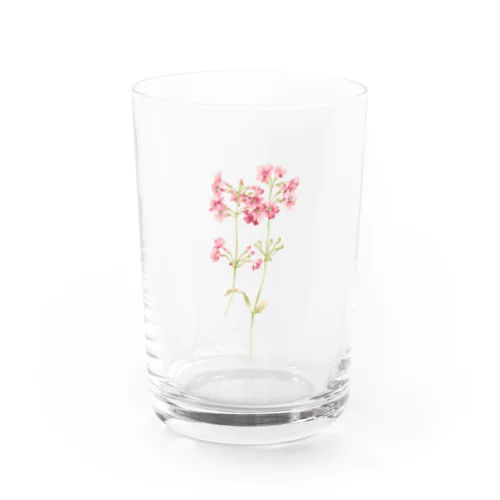 サクラソウの花のグラス Water Glass