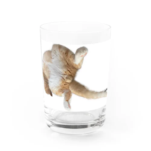 かぼすくつろぎ Water Glass