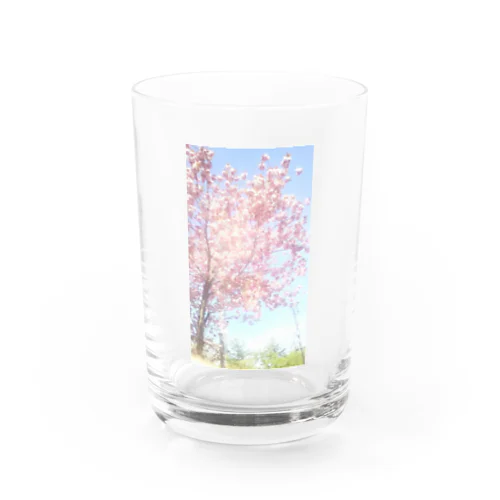 MANKAI Water Glass