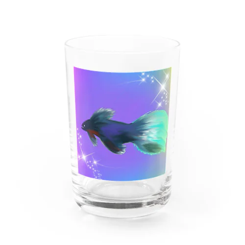 鑑賞ベタ Water Glass