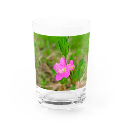 小さい花 Water Glass