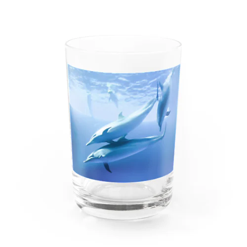 イルカ Water Glass
