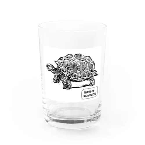 TURTLES Water Glass