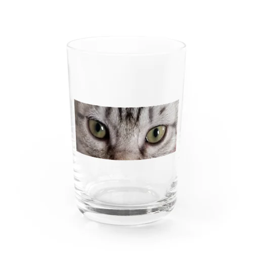 キャットアイ かすみちゃん Water Glass