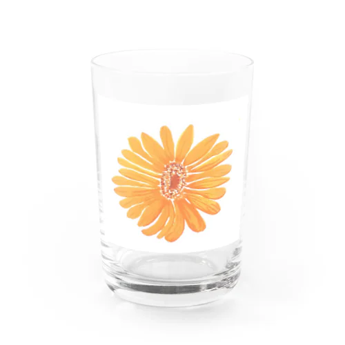 オレンジのお花 Water Glass