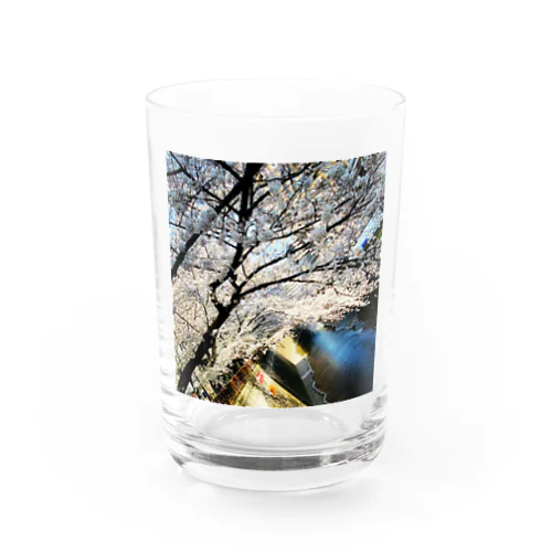 桜 Water Glass