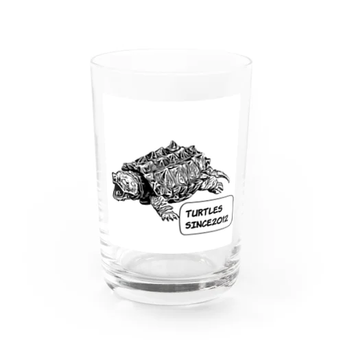 TURTLES Water Glass