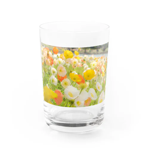 ビタミンポップ　Vitamin Popping Flowers  Water Glass