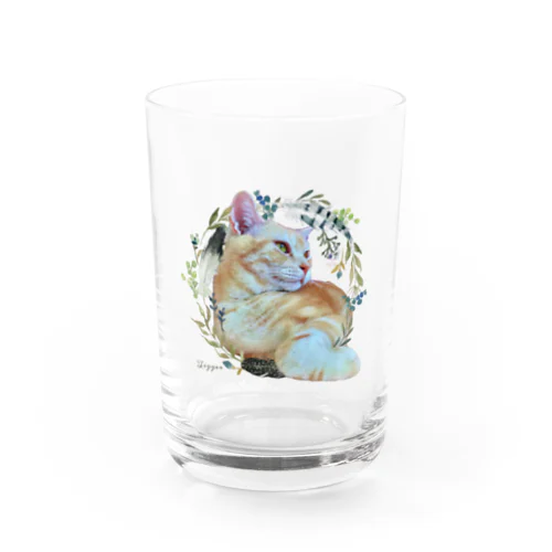 猫カフェラグドールてぃがflower Water Glass