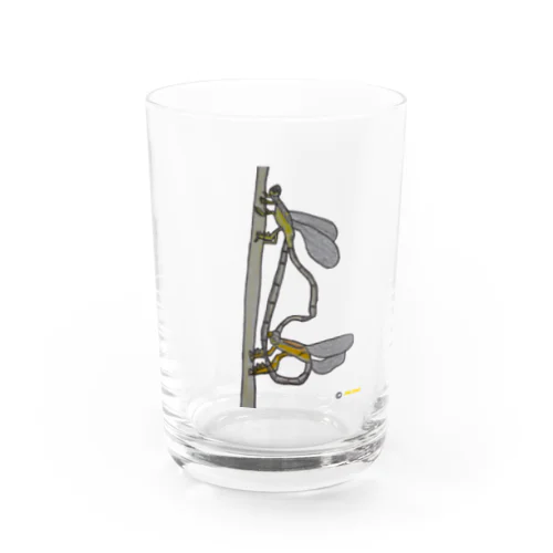 Two Dragonflies Mating 児童画 交尾 する 2匹 の トンボ Water Glass
