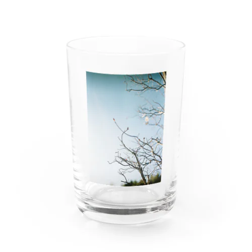 きそのに Water Glass