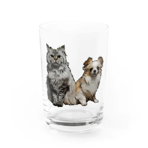 test Water Glass