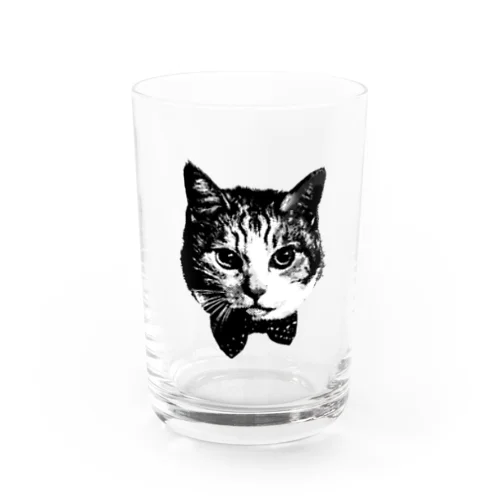 test  Water Glass