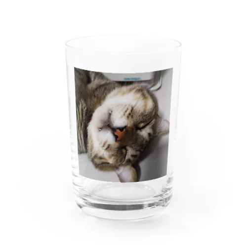 おでぶ猫こころくん Water Glass