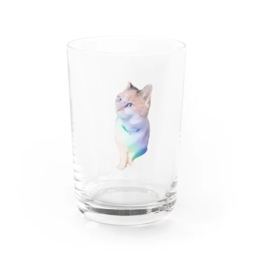 プリズム三毛猫　みみちゃん Water Glass