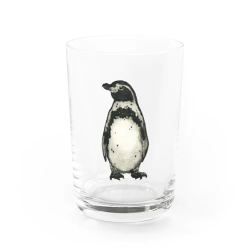 フンボルトペンギン Water Glass