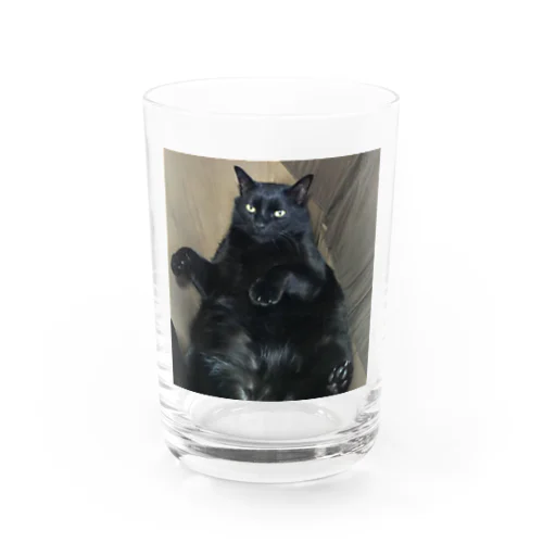 神社にいた猫福ちゃん Water Glass