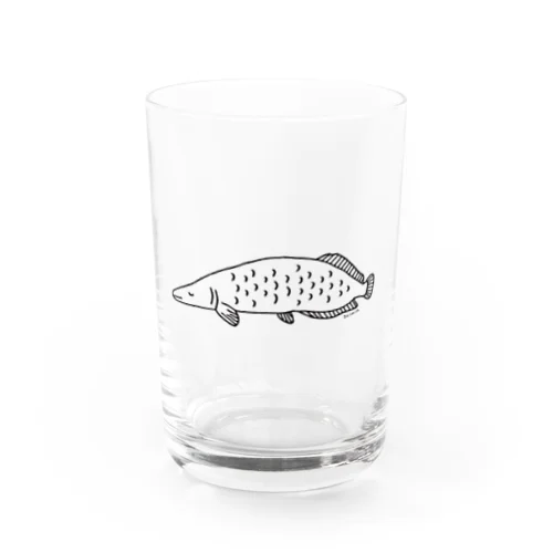 ねむみピラルク Water Glass