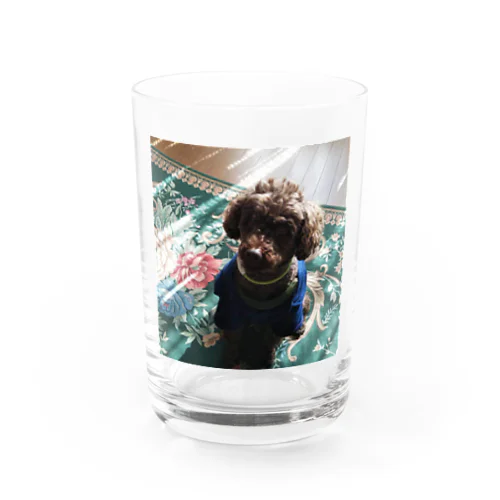 愛犬 ムク Water Glass
