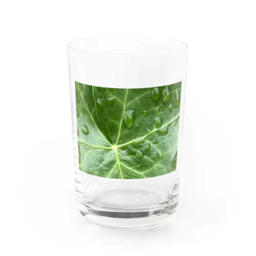 zOOm_Hedera Water Glass