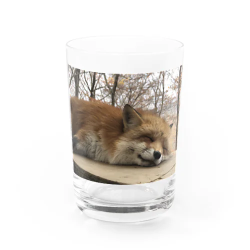 狐 Water Glass