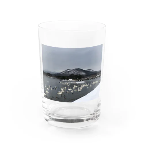 白鳥 Water Glass