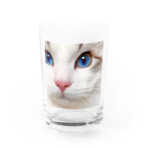 こむぎ👀ブルーアイ Water Glass