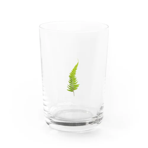 そのへんに生えてた草木 Water Glass