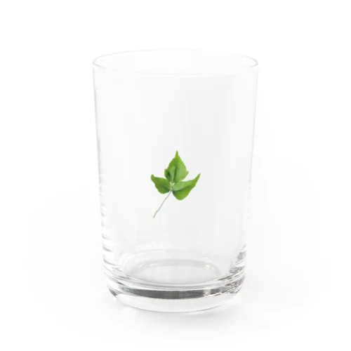 そのへんに生えてた安らかな草木 Water Glass